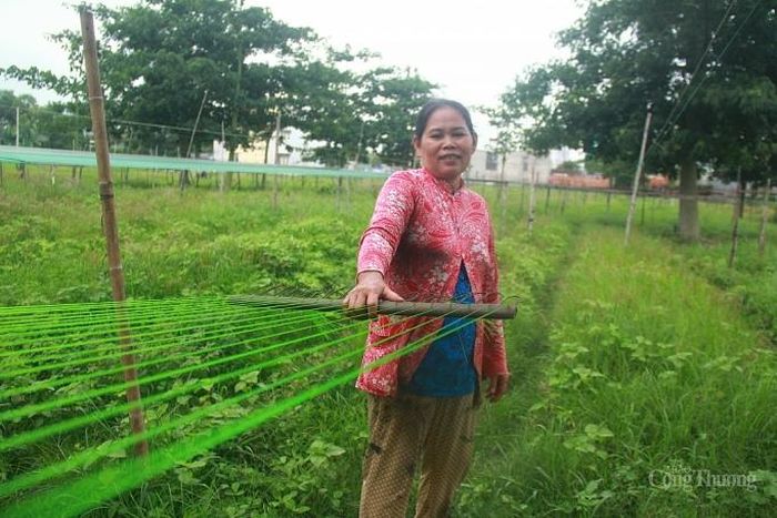 Bà Bùi Thị Lắm (58 tuổi, quê An Giang) cho biết mỗi ngày quãng đường mà bà kéo dây cũng phải trên dưới 15 km. "Để cho ra một sợi dây thừng thành phẩm, mỗi ngày tôi phải di chuyển rất nhiều lần qua lại dọc bãi đất này. Công việc này chỉ hợp khi trời nắng ráo, mùa mưa thì chỉ làm cầm chừng", bà Lắm nói.