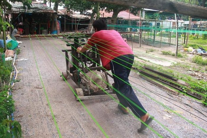 Phía ngoài bãi đất sẽ có một người cầm cây cào kéo dây căng đến cuối khu đất rồi lại kéo dây vòng về vị trí đặt máy cuốn.