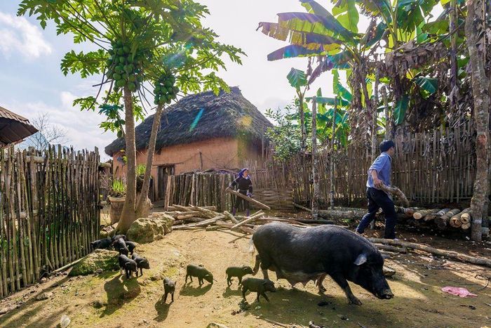Làm việc nhà. Ảnh: Nghiêm Đoàn Phú