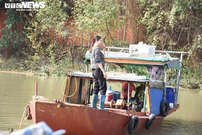 Vợ chồng bà Lụa sinh được 8 người con thì có tới 5 người con gái lấy chồng, sinh con và “an cư lập nghiệp” ở chính xóm chài này. Thuyền của họ cũng neo đậu xung quanh thuyền vợ chồng bà.