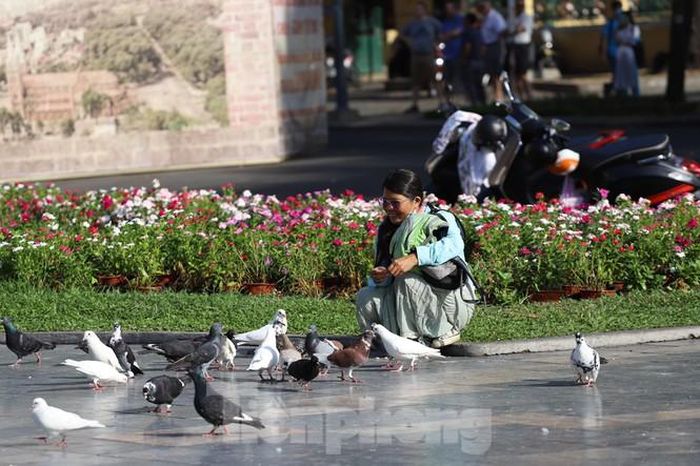 Điểm nhấn là đàn bồ câu thu hút khách