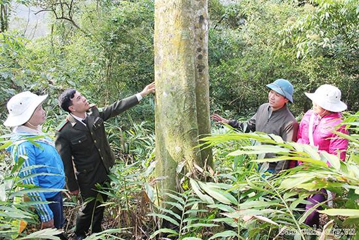 Cán bộ kiểm lâm địa bàn và người dân bản Lềm, xã Huy Tân (Phù Yên) tuần tra bảo vệ rừng.