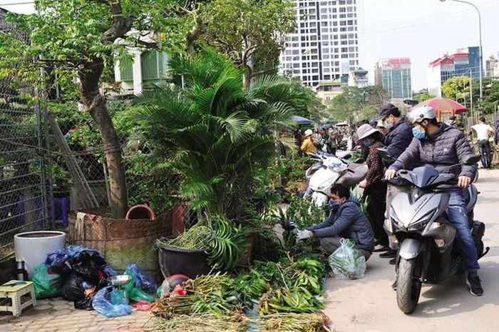 Phiên chợ thu hút rất đông người có thú trồng hoa, cây cảnh.