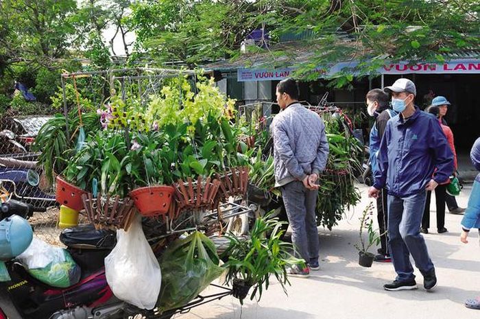 Đây còn là dịp giao lưu, trao đổi kinh nghiệm trồng các loại hoa, cây cảnh.