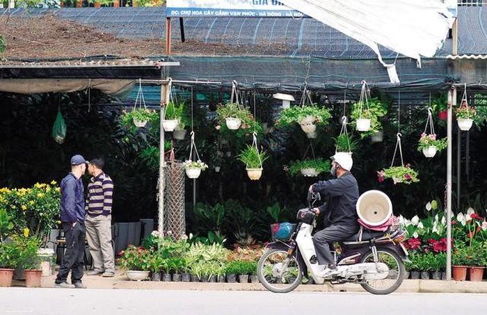 Chợ hoa Vạn Phúc khá nổi tiếng trong giới chơi cây cảnh.