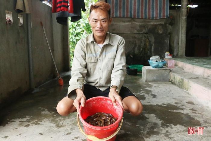 Anh Nguyễn Tiến Ân (trú thôn 3, xã Nam Phúc Thăng) chia sẻ: "Mỗi đêm tôi thả gần 200 ống, thu về được 3 - 4kg lươn, mức giá hiện tại là trên dưới 100.000 đồng/kg. Công việc không tốn nhiều thời gian và vốn bỏ ra ít nhưng mang lại nguồn thu nhập khá so với những nghề nặng nhọc, vất vả khác".