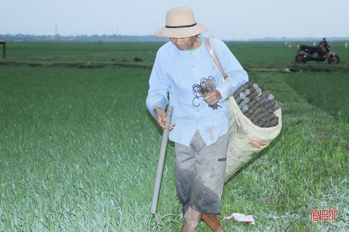 Cũng theo ông Nam, thông thường, khoảng 16h chiều là người dân đi đặt dưới ruộng lúa. Khi thả trúm cũng phải có kỹ thuật, trúm được đặt giữa các rãnh lúa, đầu trúm có nắp đậy được thả xuống bùn; đuôi trúm nổi trên mặt nước, nhưng tuyệt đối không được để nước ngập vào rãnh thông hơi, nếu nước tràn vào trúm thì khi lươn vào ăn mồi sẽ bị chết do ngạt...