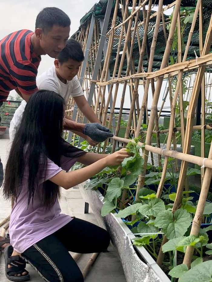 Hồ sen nở quanh năm trên sân thượng 300 m2Anh Huynh kể: "Vì không muốn dùng thuốc hóa học độc hại, có lần tôi tự chế các loại thuốc trừ sâu và thả sâu vào để xem loại nào hiệu quả". Ông bố bốn con còn dành thời gian những đêm khuya đọc tài liệu, học hỏi kinh nghiệm trong các hội nhóm trồng rau trên mạng Internet nhưng cũng không ăn thua.