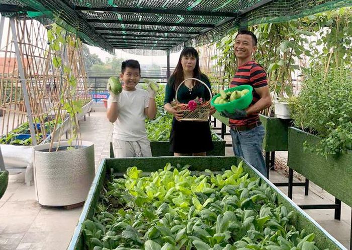 Hồ sen nở quanh năm trên sân thượng 300 m2Khu vườn trở thành nơi thư giãn, giải trí cho anh Huynh và vợ con. Sau giờ làm căng thẳng, anh cởi bỏ bộ vest, mặc quần soóc, áo phông ướt đẫm mồ hôi để làm nông dân và hạnh phúc khi nhìn thấy vợ con vui đùa bên vườn lộng gió. "Tôi coi sân thượng là một thử thách để rèn cho tôi sự sáng tạo, kiên nhẫn", doanh nhân này cho biết thêm.