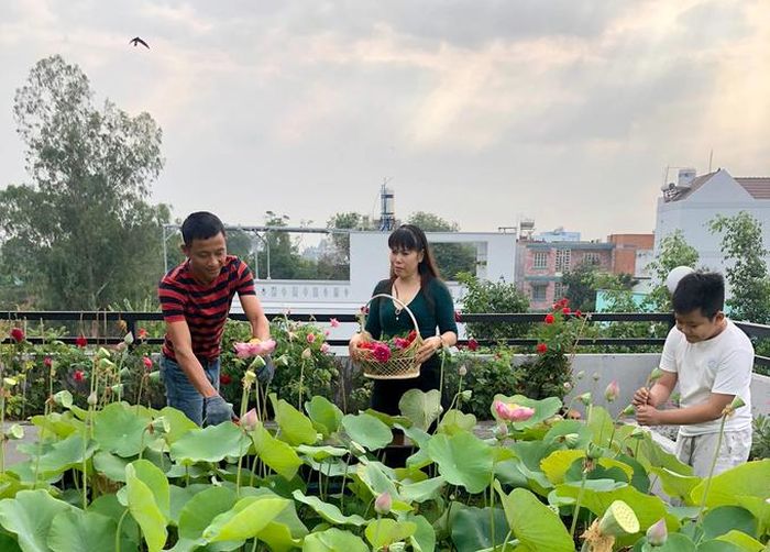 Hồ sen nở quanh năm trên sân thượng 300 m2Đầm sen là nơi yêu thích nhất của gia đình anh Huynh và bạn bè anh. Ai đến chơi cũng thích qua đây chụp ảnh. "Có lần đầm quá đẹp, mấy mẹ con mải chụp ảnh để cháy cả nồi cá kho", anh Huynh kể. Cứ tới ngày lễ là vợ anh Huynh dặn trước: "Nhà nhiều hoa rồi. Đừng có mà mua hoa nghe".