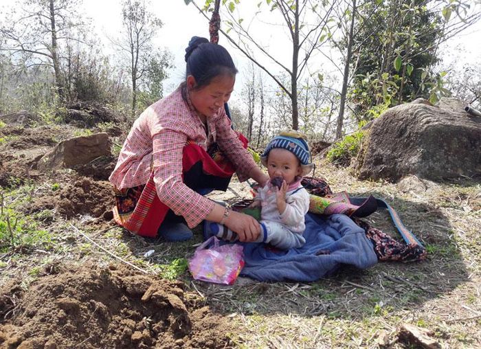 Ngày mùa bận rộn, phụ nữ vùng cao tranh thủ đưa con đi làm nương.