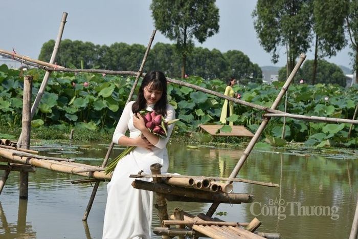 Vẻ đẹp mềm mại, dịu dàng và kín đáo của chiếc áo dài Việt Nam