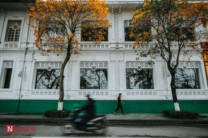 Không một lời hẹn, cây cối cùng rủ nhau thay màu áo mới