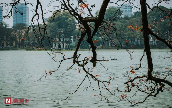 Tháp Rùa thêm trầm lặng, cổ kính với những hàng cây đang thay màu lá.