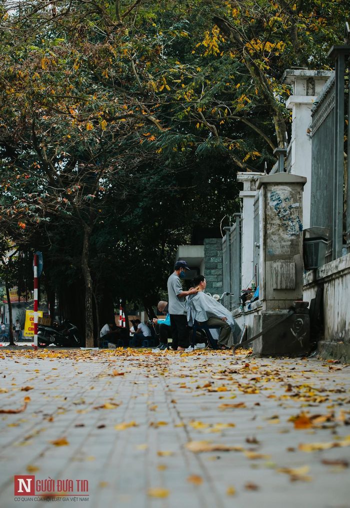 Lá vàng phủ vỉa hè đường Đại Cồ Việt.