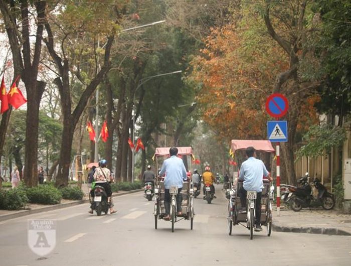 Những người đạp xích lô đi qua tuyến phố đẹp