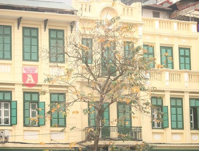 Những hàng cây còn đang thay lá, nửa xanh nửa vàng, "tông xoẹt tông" với kiến trúc của Pháp thời xưa