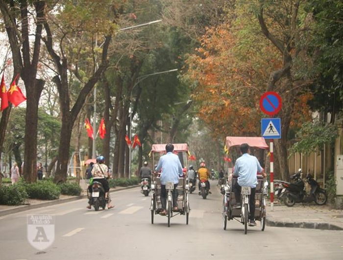 Những người đạp xích lô đi qua tuyến phố đẹp