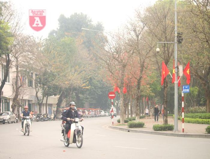 Góc phố Đinh Tiên Hoàng cây bắt đầu thay lá và đâm chồi