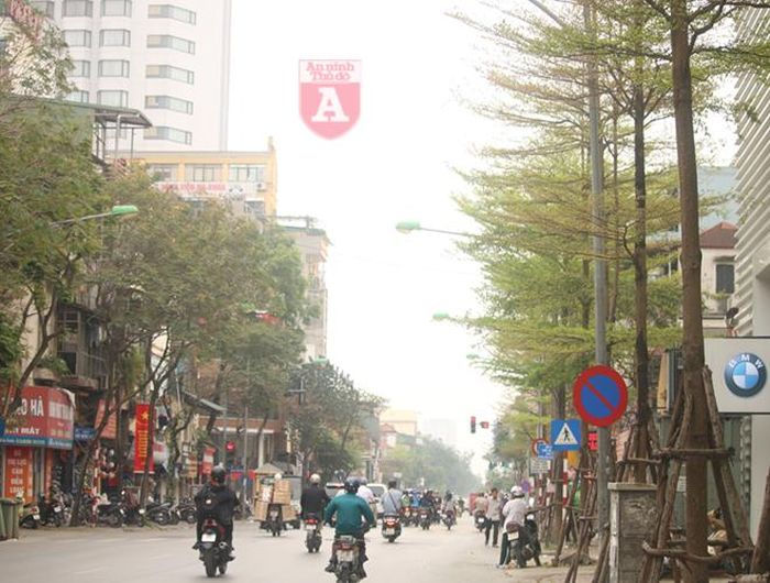 Trên phố Lê Duẩn, những hàng cây đã thay xong lá và đâm chồi xanh mơn mởn