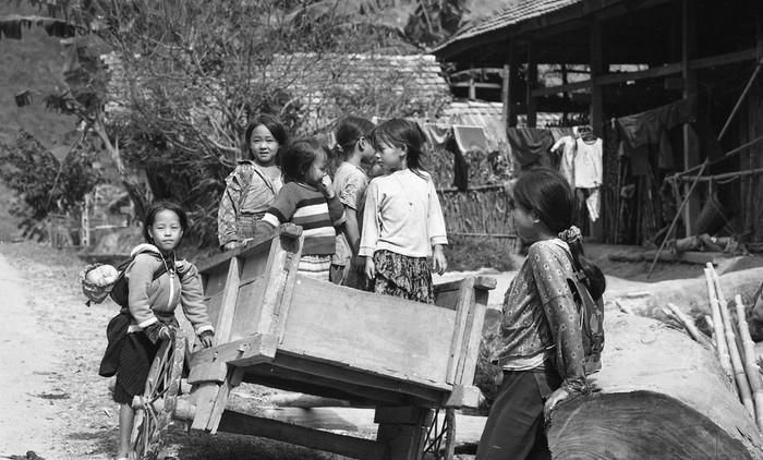 Ảnh trong triển lãm “Thư Đồng Văn”.