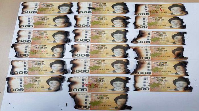  Loạt tiền 50.000 won. Ảnh: Ngân hàng Hàn Quốc