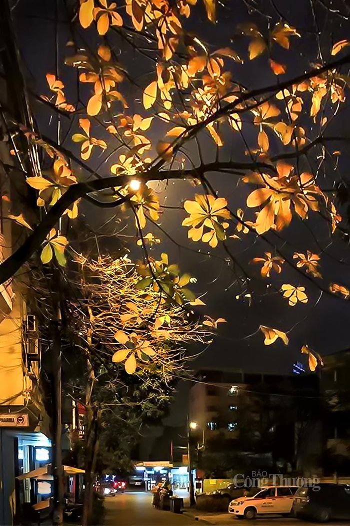... Nhưng là xuân sắp qua