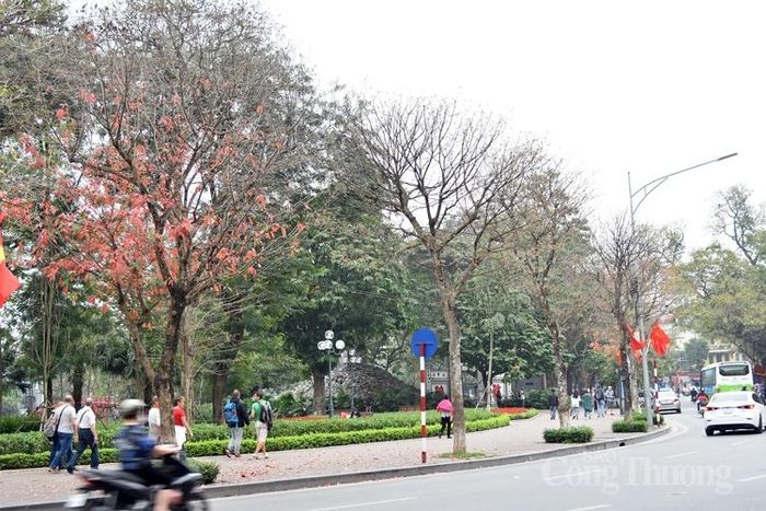 Hàng cây ven Hồ Gươm đan xen sắc màu