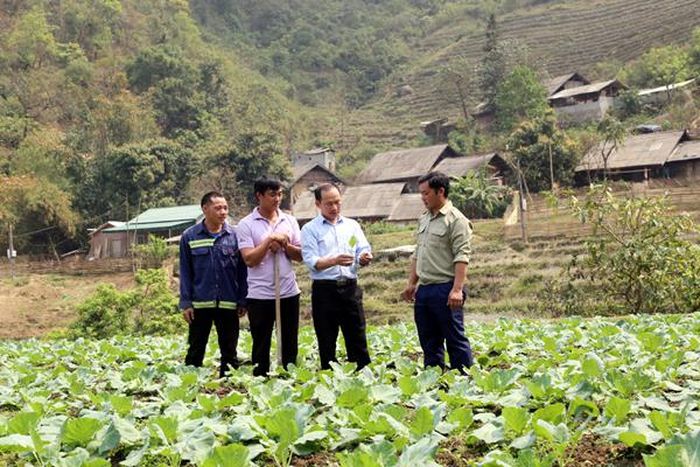 Cán bộ xã A Mú Sung thường xuyên kiểm tra vườn rau để hướng dẫn người dân chăm sóc rau theo đúng kỹ thuật.