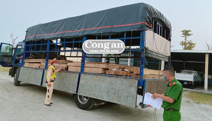 Lực lượng CA kiểm đếm số gỗ "lậu" trên xe tải.