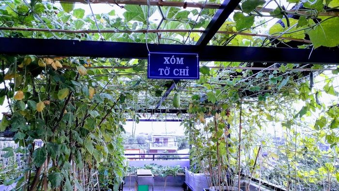 “Nghe đặt tên thì có vẻ lạ lẫm nhưng cũng chỉ để thỏa nỗi nhớ quê hương và… tiện chăm sóc. Dù vậy với tôi, mục tiêu lớn hơn cả là muốn có một môi trường để giáo dục các con của mình lòng yêu quê hương đất nước, tinh thần lao động, sáng tạo của cha ông… cho dù sau này các cháu có là ai, sống ở đâu thì cũng hãy luôn nhớ và tự hào”, anh Huynh chia sẻ.