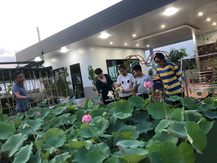 Anh Huynh cũng chia sẻ, gần đây có khá nhiều người ngỏ ý muốn tham quan khu vườn nhưng anh buộc phải từ chối vì phòng ngừa dịch COVID-19. Tuy nhiên, anh rất cảm kích, hứng thú chia sẻ mô hình của mình mỗi khi có người hỏi đến.