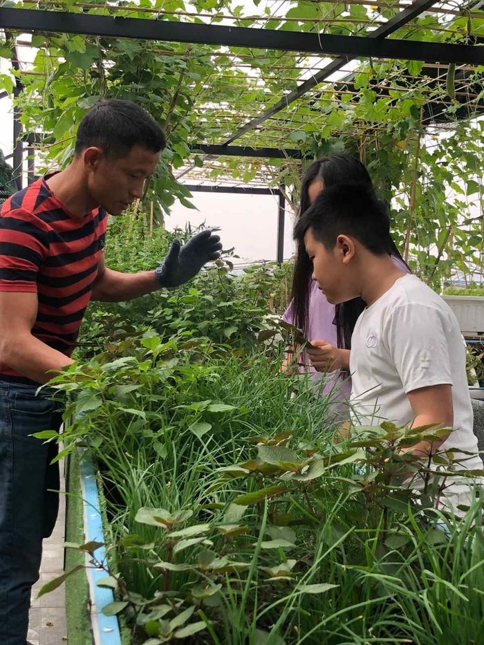 Sau thời gian đầu tư học qua mạng, thực nghiệm, anh Huynh đã "lên tay" và có thể trồng được các loại rau, củ, quả như: cải, mồng tơi, bí, bầu, cả bưởi, táo, hồng xiêm, giềng, gừng, sả, nha đam… Thậm chí, thú vui điền viên của gia đình cũng tập trung hết tại… ao sen rộng 20 mét vuông. Mỗi tháng, anh thu hoạch được gần cả ký hạt sen tươi ngon, hoa thì quanh năm khoe sắc. Anh Huynh còn hài hước kể rằng gia đình rất ít khi tốn tiền hoa vì “cứ lên sân thượng ngắt vài bình, loại nào cũng có. Không có thì… trồng”.