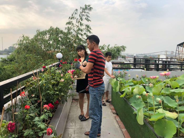 Nhìn vào khu vườn “trên mây” của anh Huynh, cứ nghĩ rằng chi phí là một con số khổng lồ nhưng trái lại, ngoài chi phí 50 triệu đồng để làm bồn, đổ đất, trồng rau, hoa... việc lắp bảng tên chỉ mất 720.000 đồng. 