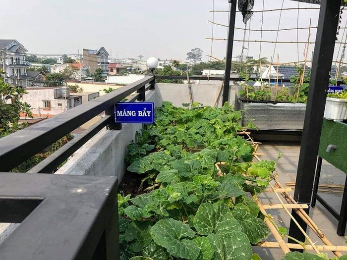 Vì có diện tích rộng rãi nên anh quyết định làm bảng phân khu vực và đặt tên các địa phương gắn với tuổi thơ của mình như: Xóm Ngoài, Đồng Diệc, Xóm Cát, Máng Bẩy, Xóm Chùa, Ao Ươm, Đìa Dái… 