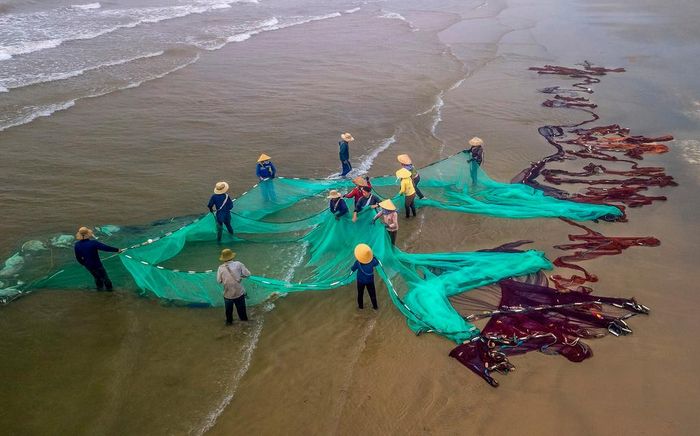  Sau khoảng 90 - 120 phút rải lưới vây cá trên biển, ngư dân trên bờ có thể kéo dây thừng thu lưới về. Hơn 20 năm gắn bó về nghề kéo lưới rùng, bà Trần Thị Lành (ngụ xã Tịnh Kỳ, TP Quảng Ngãi), thổ lộ nghề này tuy cơ cực nhưng bù lại có nguồn thu nhập ổn định trang trải cuộc sống, nuôi con cái ăn học đàng hoàng. 