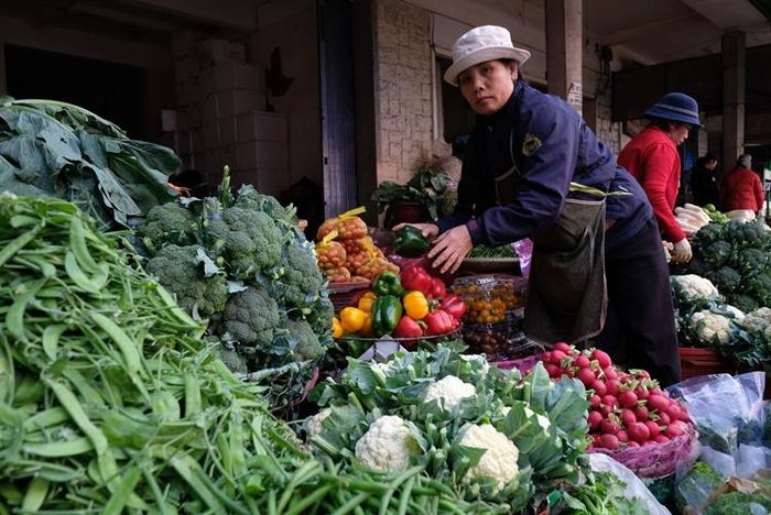 Nông sản Đà Lạt và các vùng lân cận có sản lượng và giá cả tiếp tục bình ổn trong thời gian tới