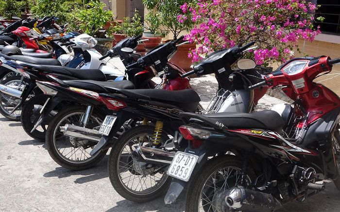 Tang vật và phương tiện bị tạm giữ - Ảnh: Anh Tầm.