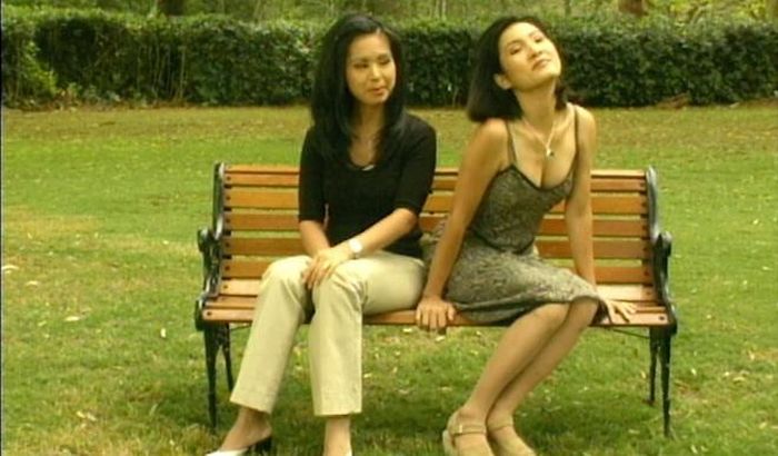  Trước khi sang Mỹ định cư, Hồng Đào ghi dấu ấn với khán giả trong nước với hàng loạt vở kịch, phim điện ảnh như Lôi vũ, Ngôi nhà không có đàn ông... Cùng với Hồng Vân, Hữu Châu, Thành Lộc, Hồng Đào thuộc thế hệ vàng của sân khấu kịch miền Nam. Thời điểm nữ nghệ sĩ diễn tại sân khấu 5B cũng là giai đoạn thăng hoa nhất trong sự nghiệp của chị. 