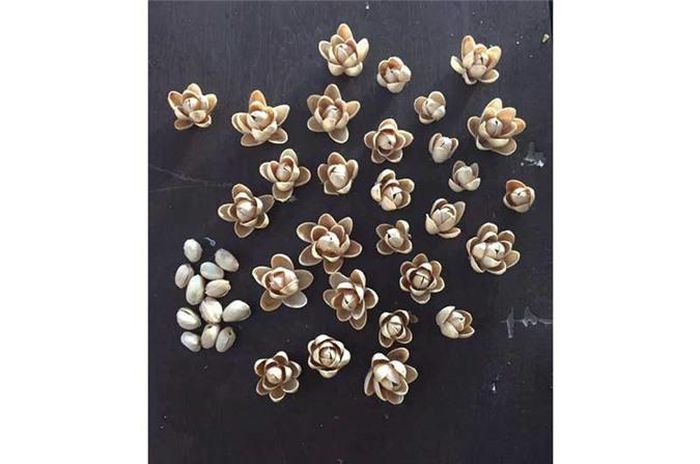 Vỏ hạt dẻ cười mà cũng có thể ngồi xếp thành hoa thế này thì đúng là bái phục.