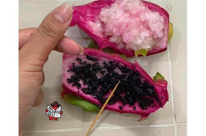 Thành quả khi bạn quá rảnh!