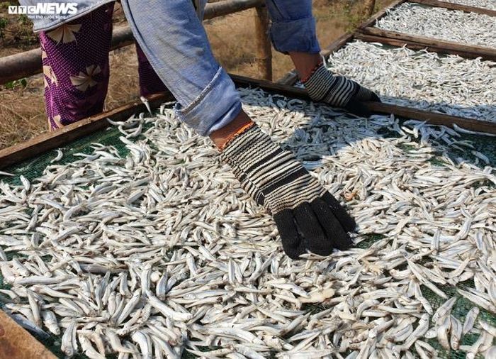 Bà Một cho hay, công việc mang tính thời vụ này gắn bó với bà suốt 40 năm qua: "Những ngày hấp nhiều cá, tôi cùng chị em ở đây có thể kiếm được đôi ba trăm ngàn đồng. Ở đây, chúng tôi được trả công theo giờ, cứ 30 nghìn đồng một giờ. Công việc tuy vất vả, đội nắng cả ngày nhưng đổi lại đồng thù lao cũng giúp mình trang trải cuộc sống, lo cho con cái ăn học".