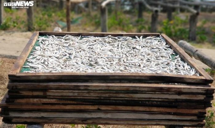 Mỗi ngày, xã Bình Minh cung ứng cho thị trường hàng tấn cá khô. Thành phẩm làm ra bao nhiêu được tiêu thụ hết bấy nhiêu, giá cả ổn định nên cư dân xã biển này đang rất phấn khởi mỗi khi vào vụ hấp cá.