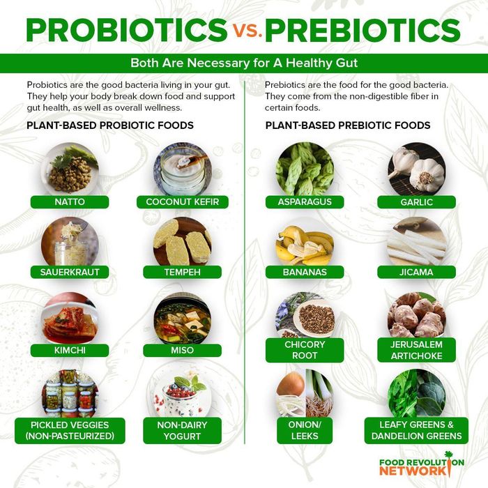 Các loại thực phẩm chứa nhiều probiotics, prebiotics. Ảnh: Food Revolution Network.