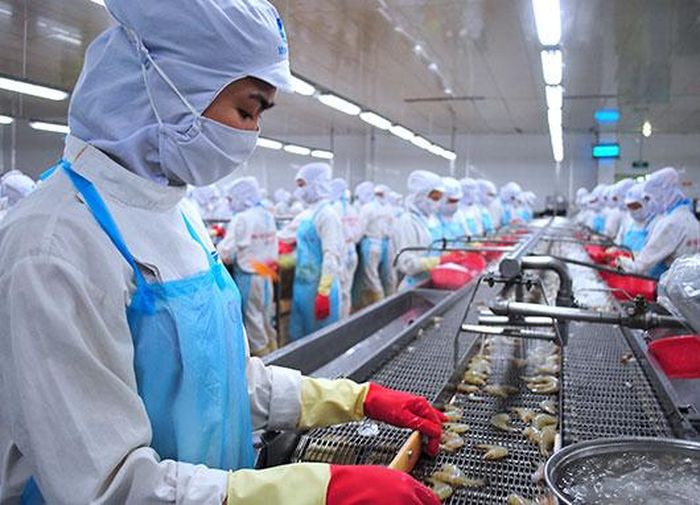 Chế biến tôm đang có dấu hiệu sa sút do thị trường xuất khẩu bị bó hẹp vì ảnh hưởng bởi dịch Covid-19.