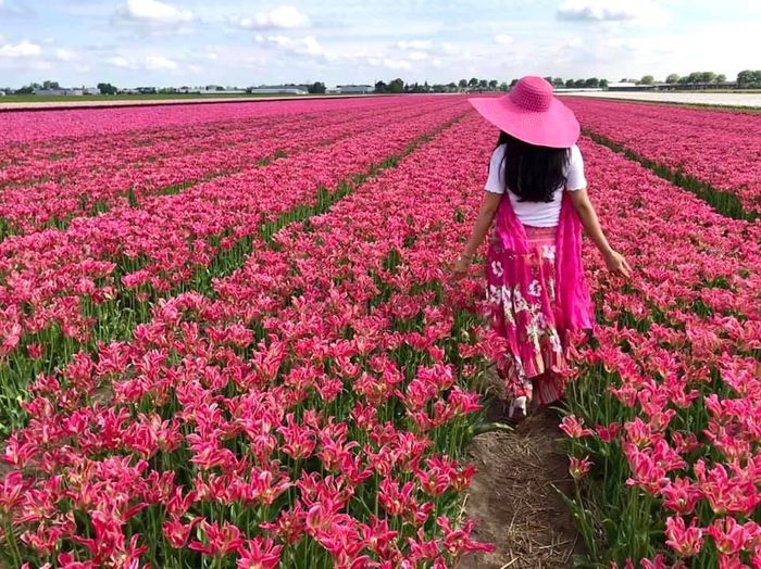 Chị Nguyễn Thị Xinh trong Hội hoa Keukenhof 2019