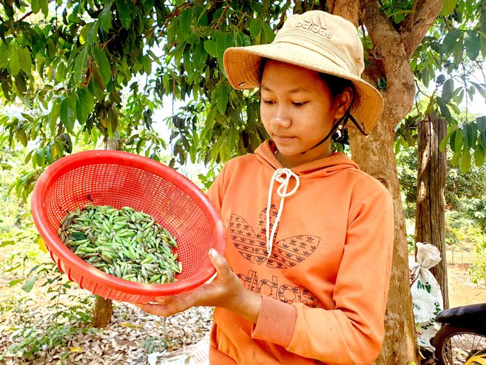 "Tôm rừng" là món ăn đặc trưng của đồng bào Tây Nguyên