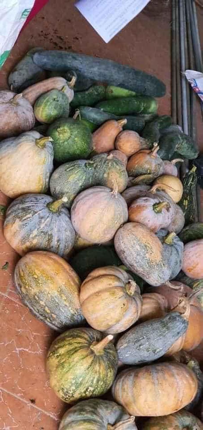 Từng bó rau, quả bầu, vài kg gạo hay chục quả trứng, một thùng mì không nhiều về mặt vật chất nhưng thể hiện tinh thần đoàn kết, lòng yêu thương, sẵn sàng san sẻ của người dân trong đại dịch.