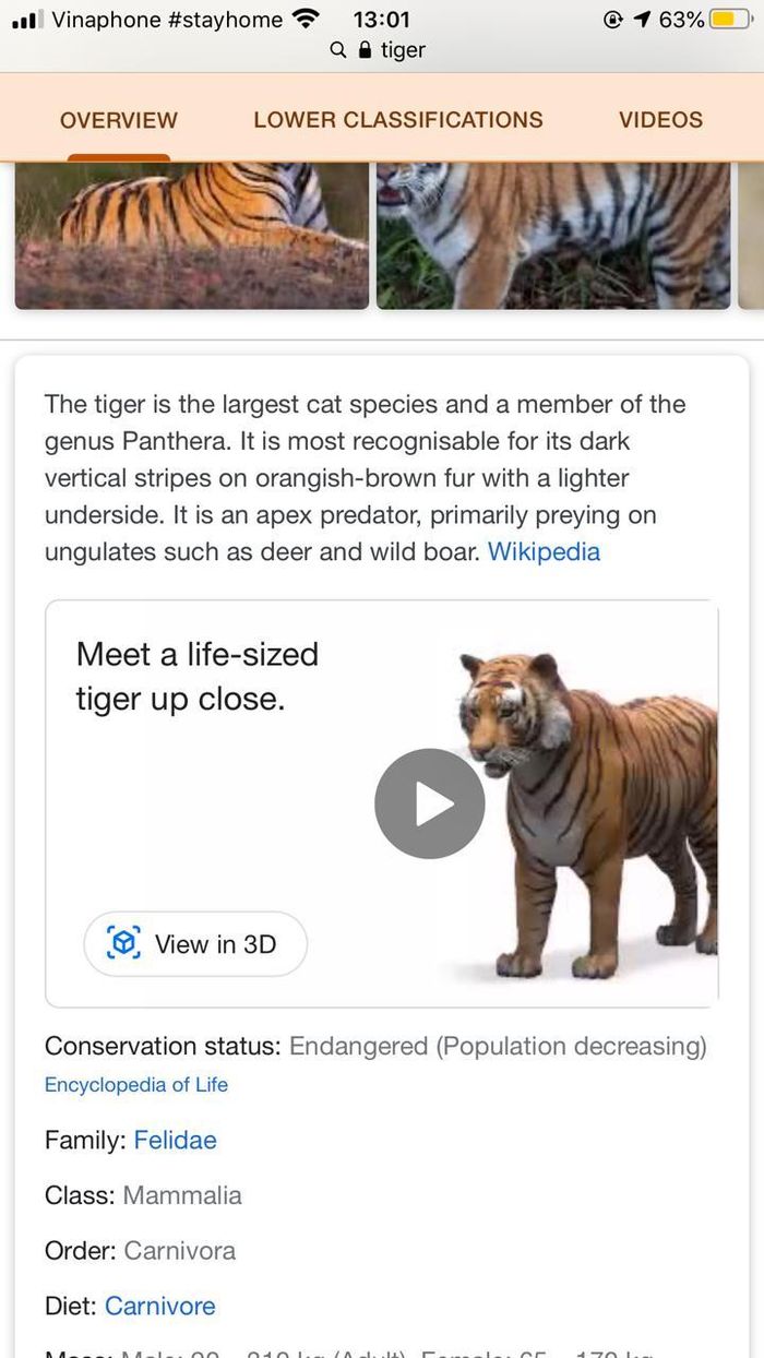 Chạm vào ô “View in 3D” để hình ảnh 3D của con vật xuất hiện trên màn hình điện thoại. Ảnh: Thái An.