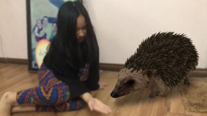 Tạo dáng với nhím trong phòng ngủ. Ảnh: Thái An.